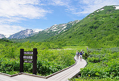 Tsugaike national park