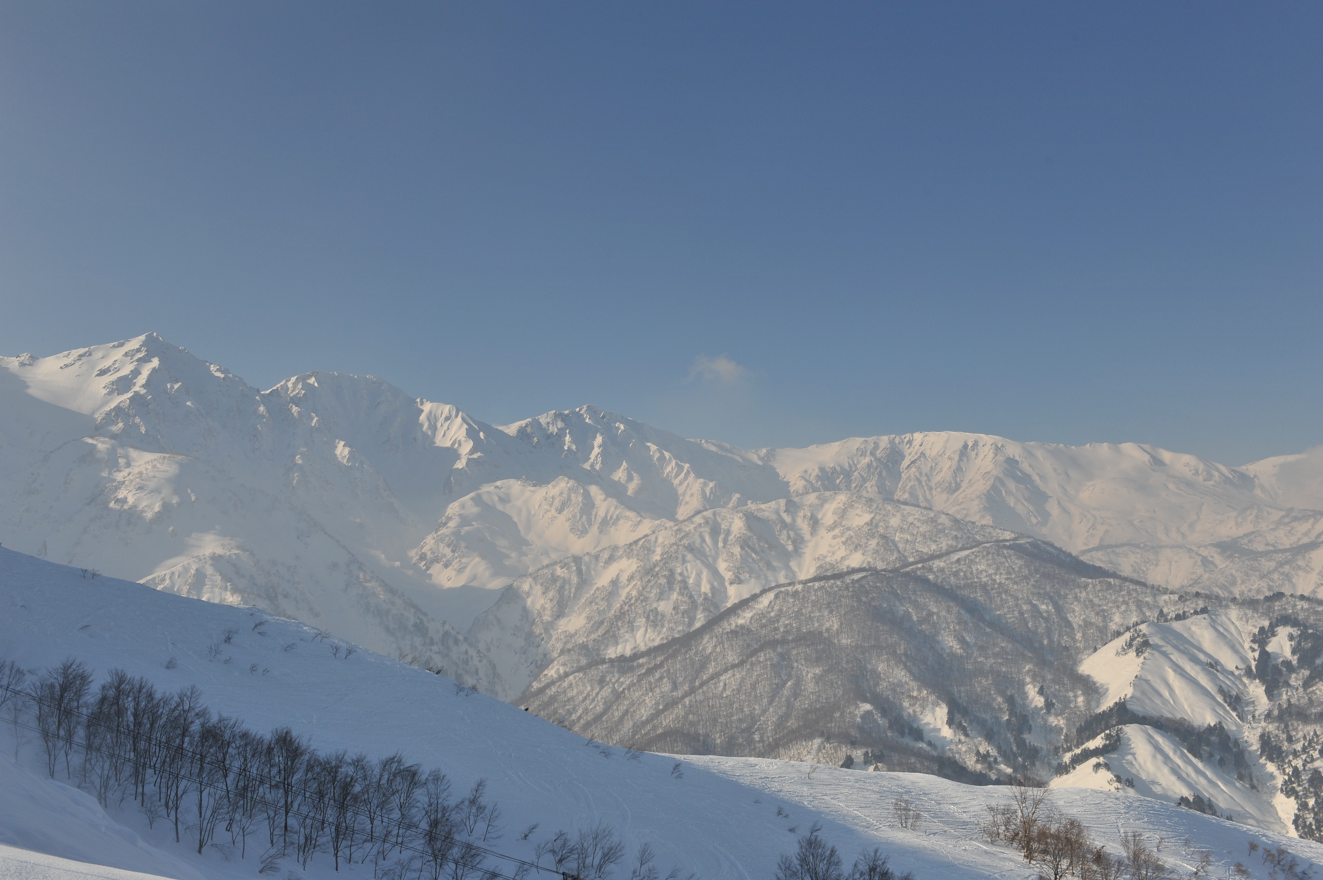 110204 Hakuba Yw0350