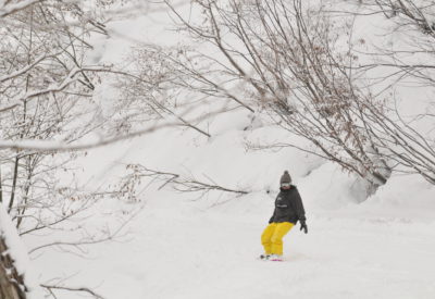 110204 Hakuba2 Yw0037