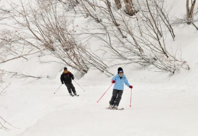 110204 Hakuba2 Yw0044